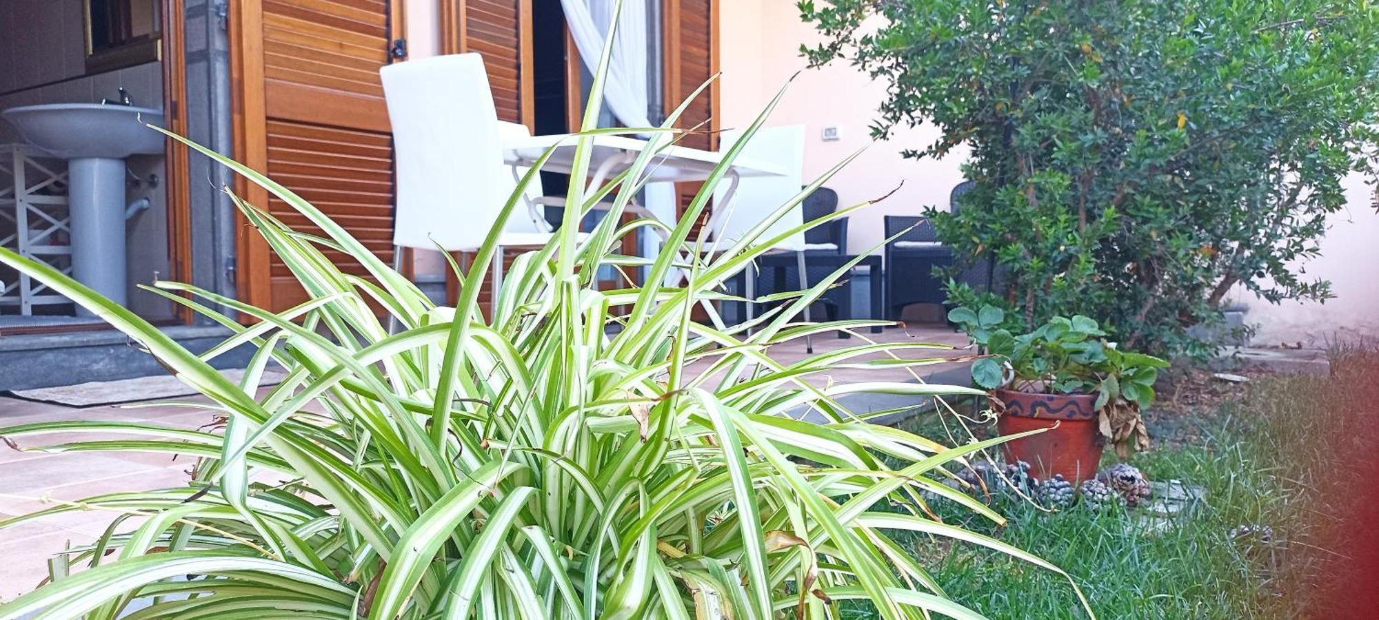 Casa Lilla 1 E 2 Apartment Oristano Exterior photo